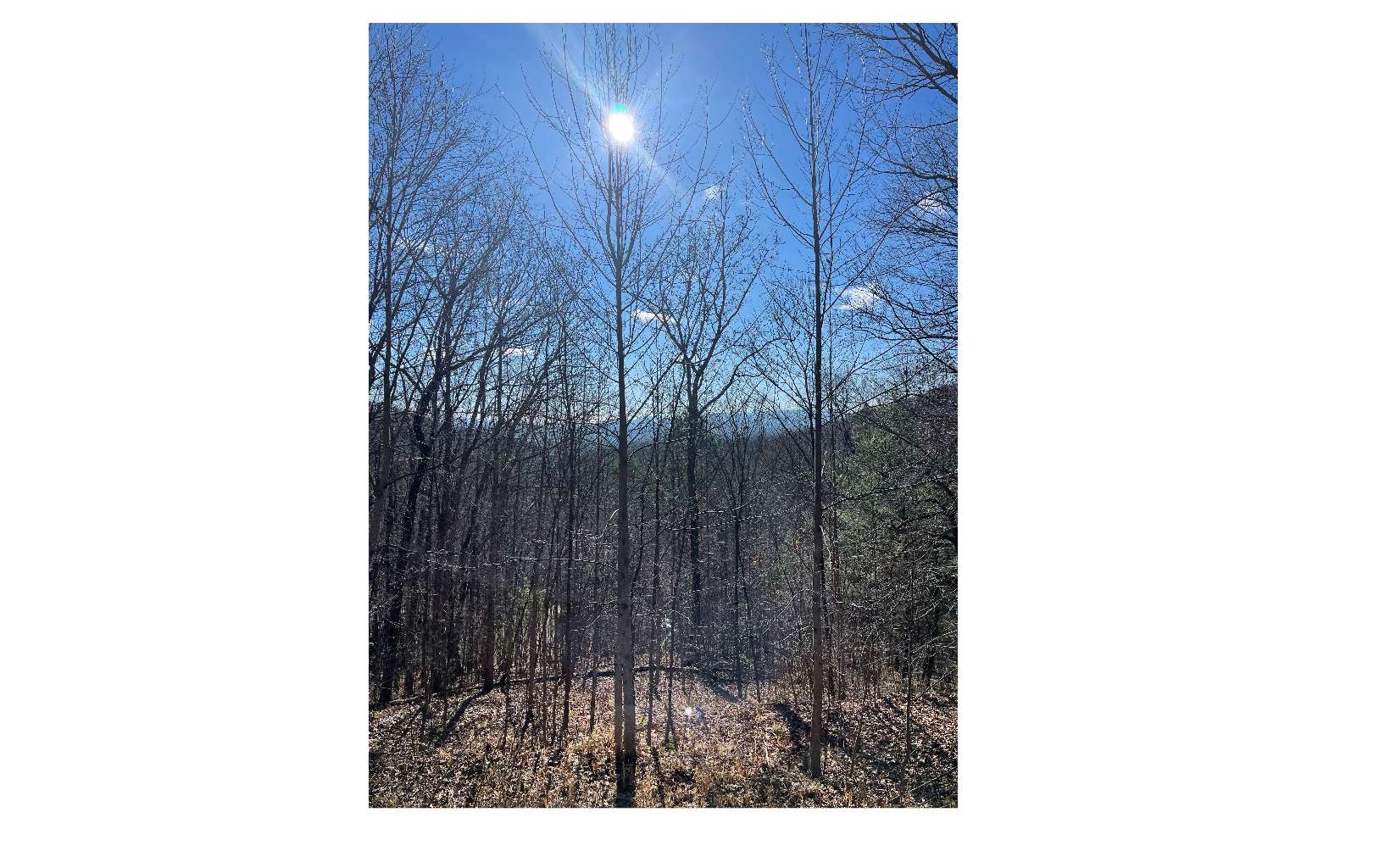 45-51 Wolf Mountain Road Murphy, NC 28906 - Photo 1 of 6 Main View
