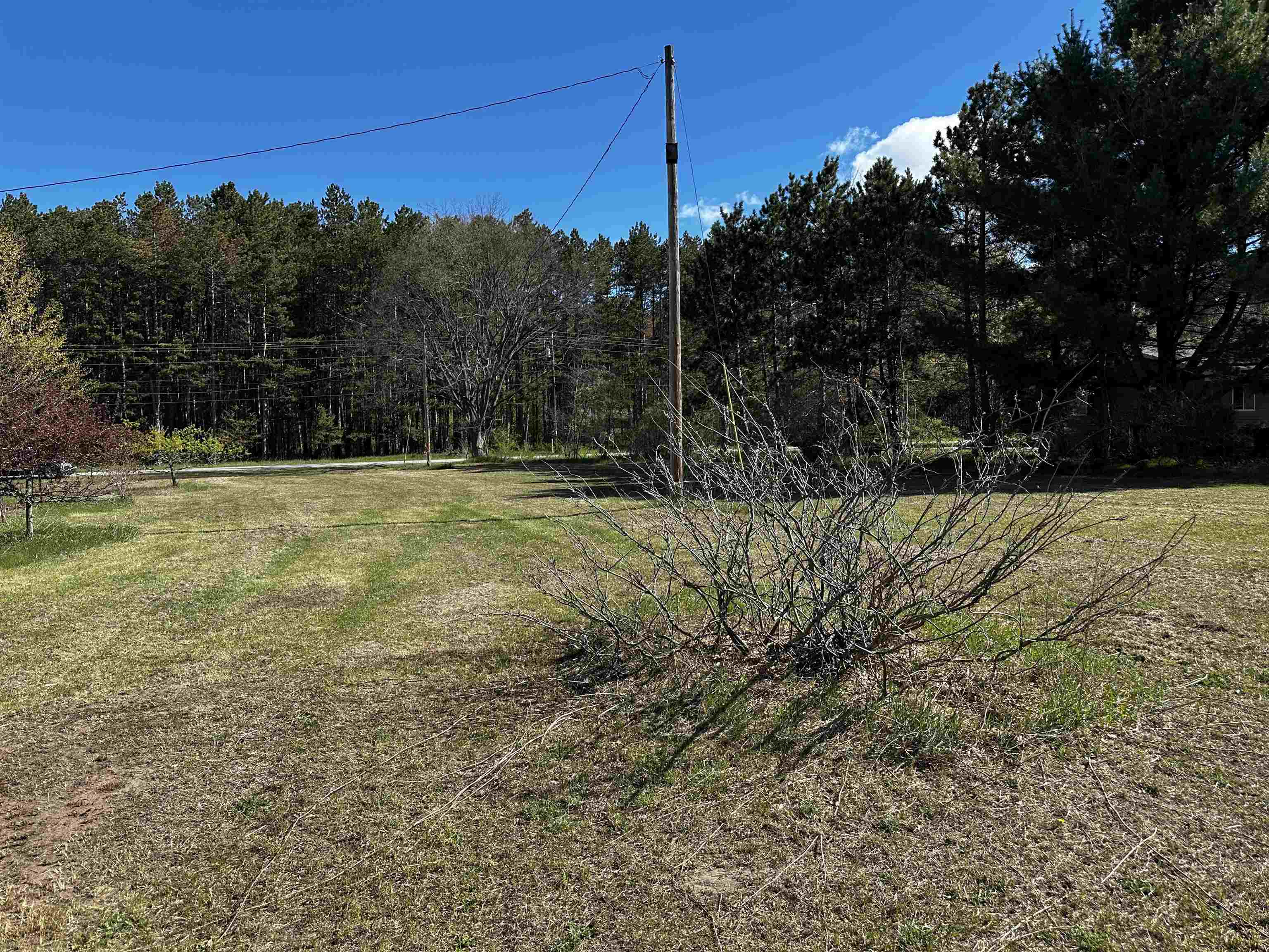 V/l Northwest Wilhelm Road Rapid City, MI 49676 - Photo 9 of 10