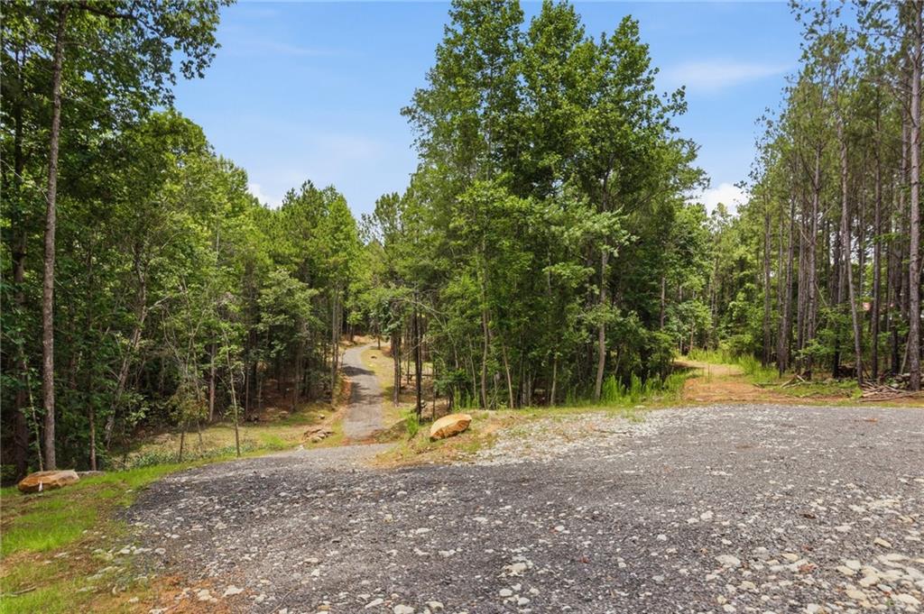 Lot 1 Pete Path Dallas, GA 30157 - Photo 4 of 21