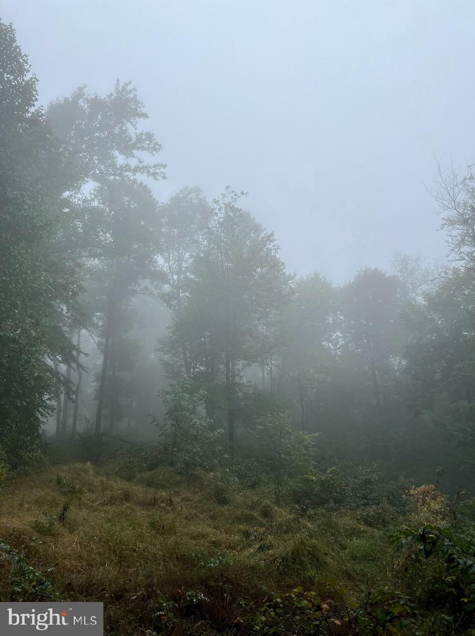 1709 Cold Springs Road Fairfield, PA 17320 - Photo 3 of 3 Misty woods shrouded in mystery.