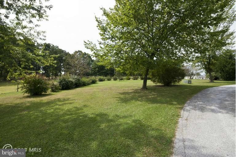 1720 East Deep Run Road Manchester, MD 21102 - Photo 30 of 30 a view of a trees with a yard