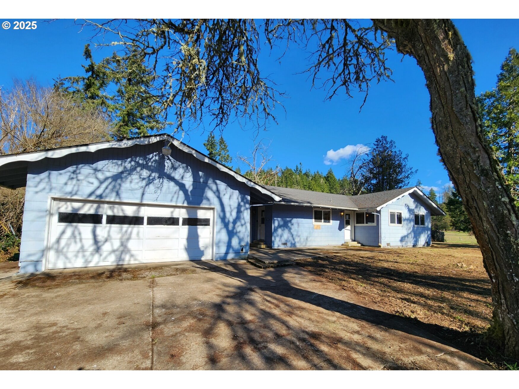 81029 Lost Creek Road Dexter, OR 97431 - Photo 1 of 46 a view of a house with a yard