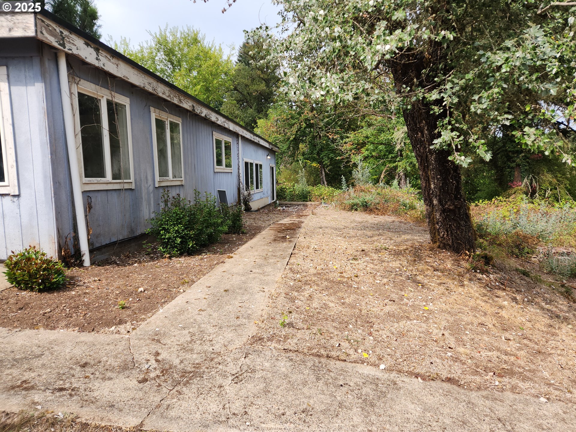 81029 Lost Creek Road Dexter, OR 97431 - Photo 2 of 46 a white house that has a tree in front of it