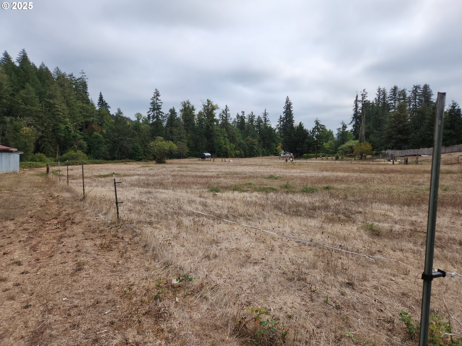 81029 Lost Creek Road Dexter, OR 97431 - Photo 39 of 46 a view of dirt field with trees in background