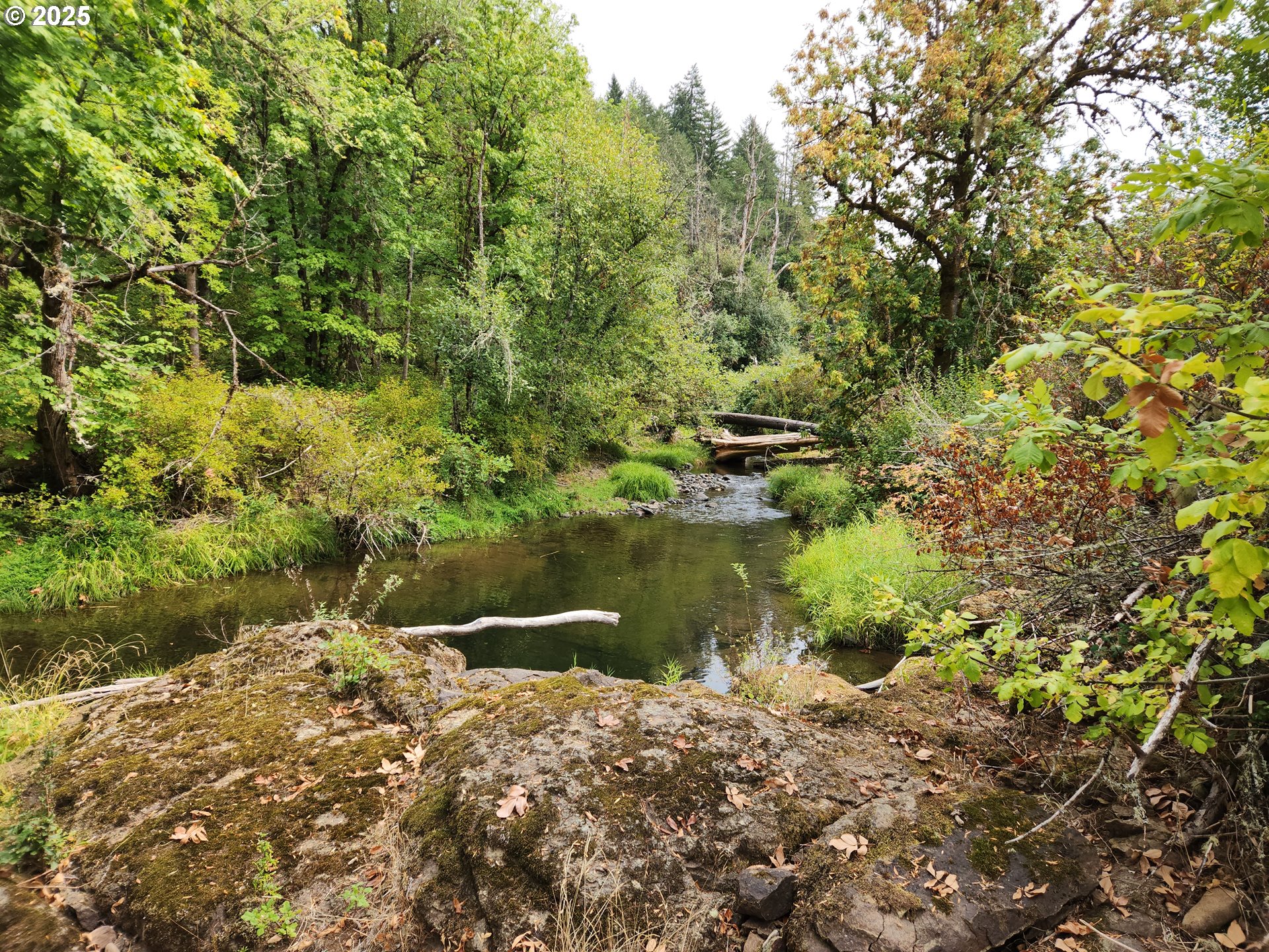 81029 Lost Creek Road Dexter, OR 97431 - Photo 45 of 46 a view of lake with green space