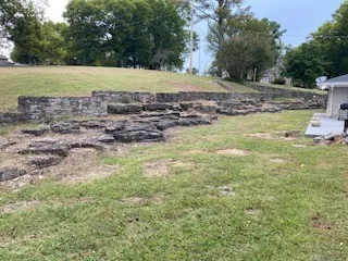 a view of a field with trees