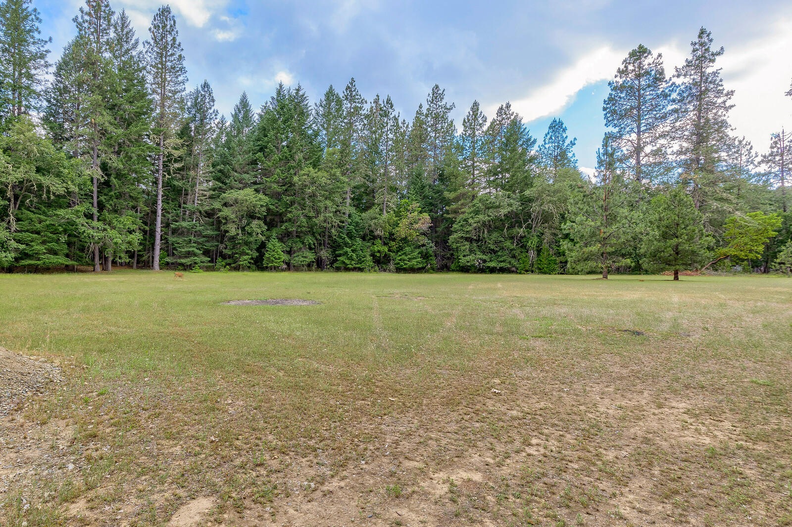 2444 Cedar Flat Road Williams, OR 97544 - Photo 49 of 74 58_CFR_58_mls