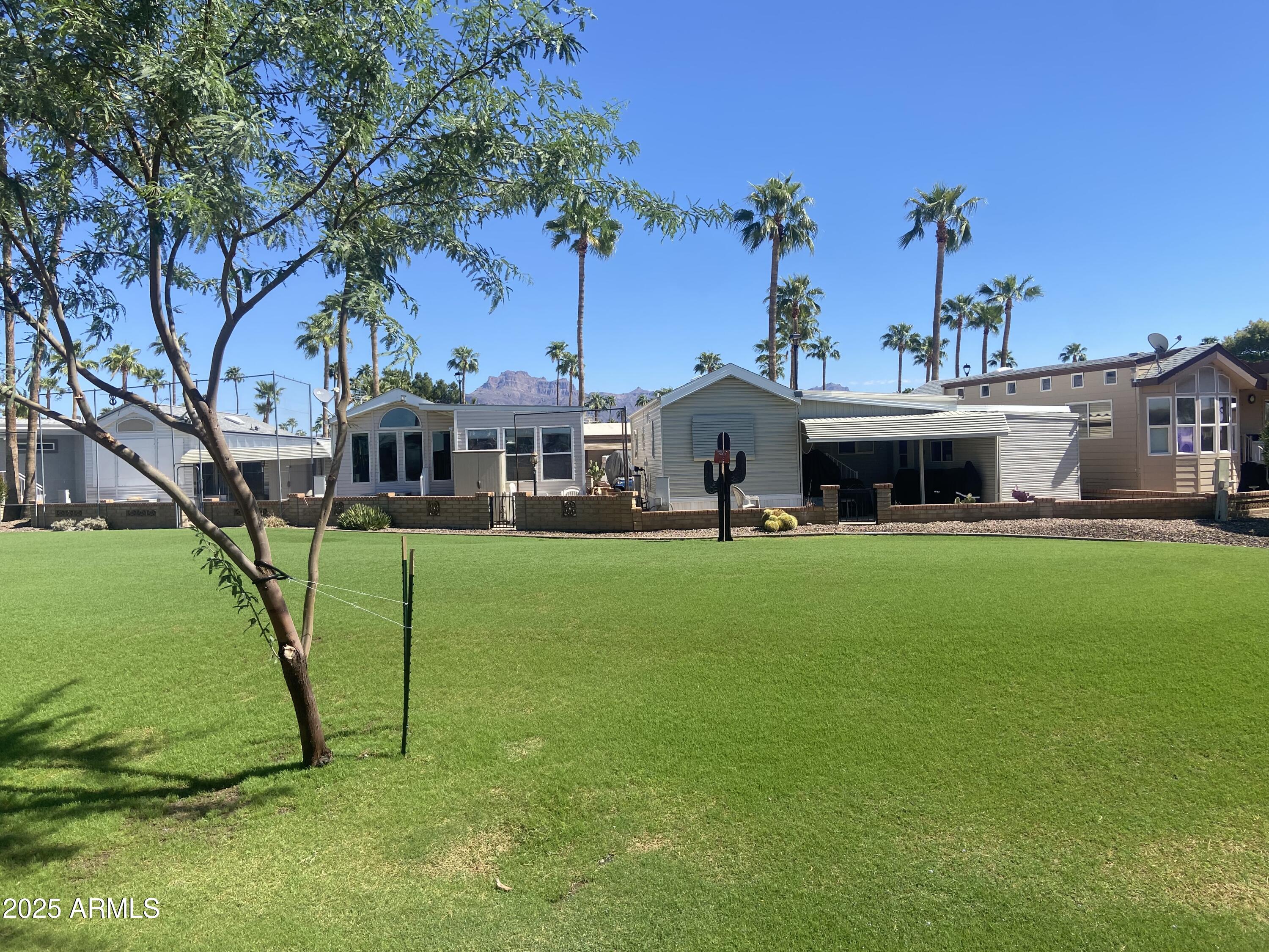 2239 West San Juan Circle Apache Junction, AZ 85119 - Photo 35 of 37 a front view of a house with garden