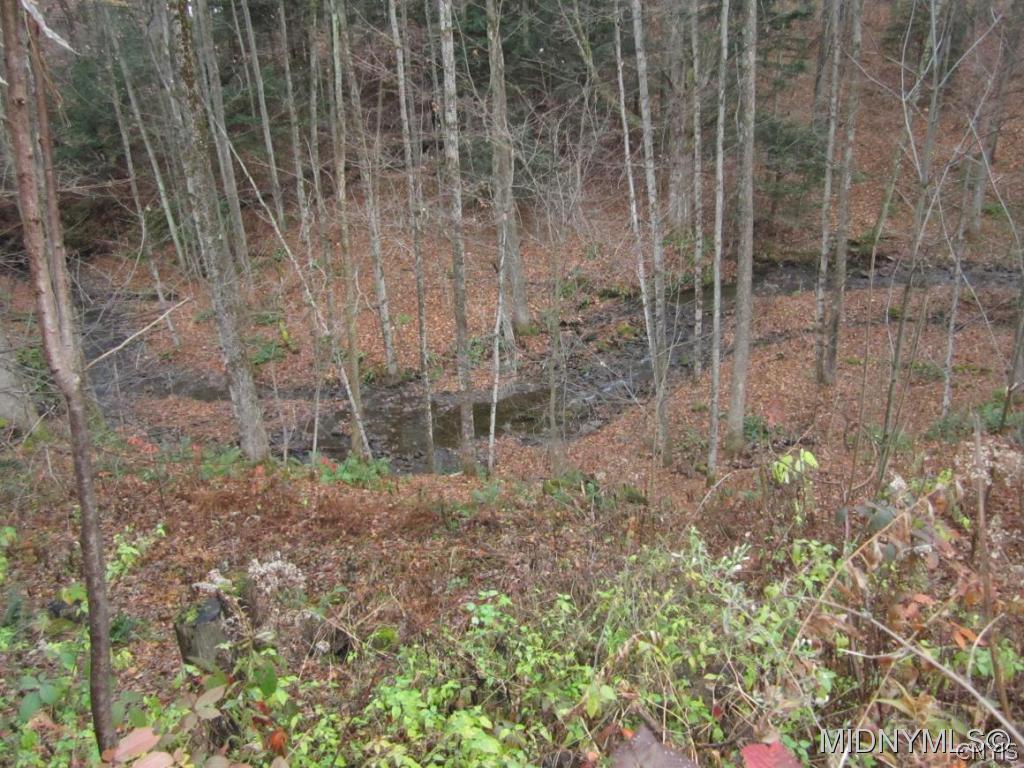 9345 Harris Road Lee Center, NY 13363 - Photo 2 of 12 Gallery Image 2