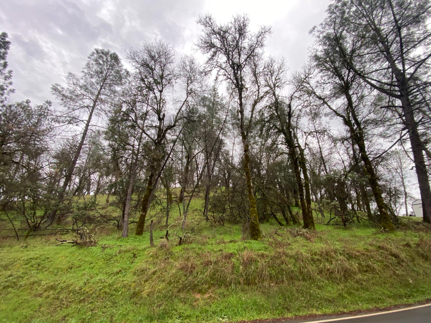 15201 Magnolia Road Grass Valley, CA 95949 - Photo 2 of 4