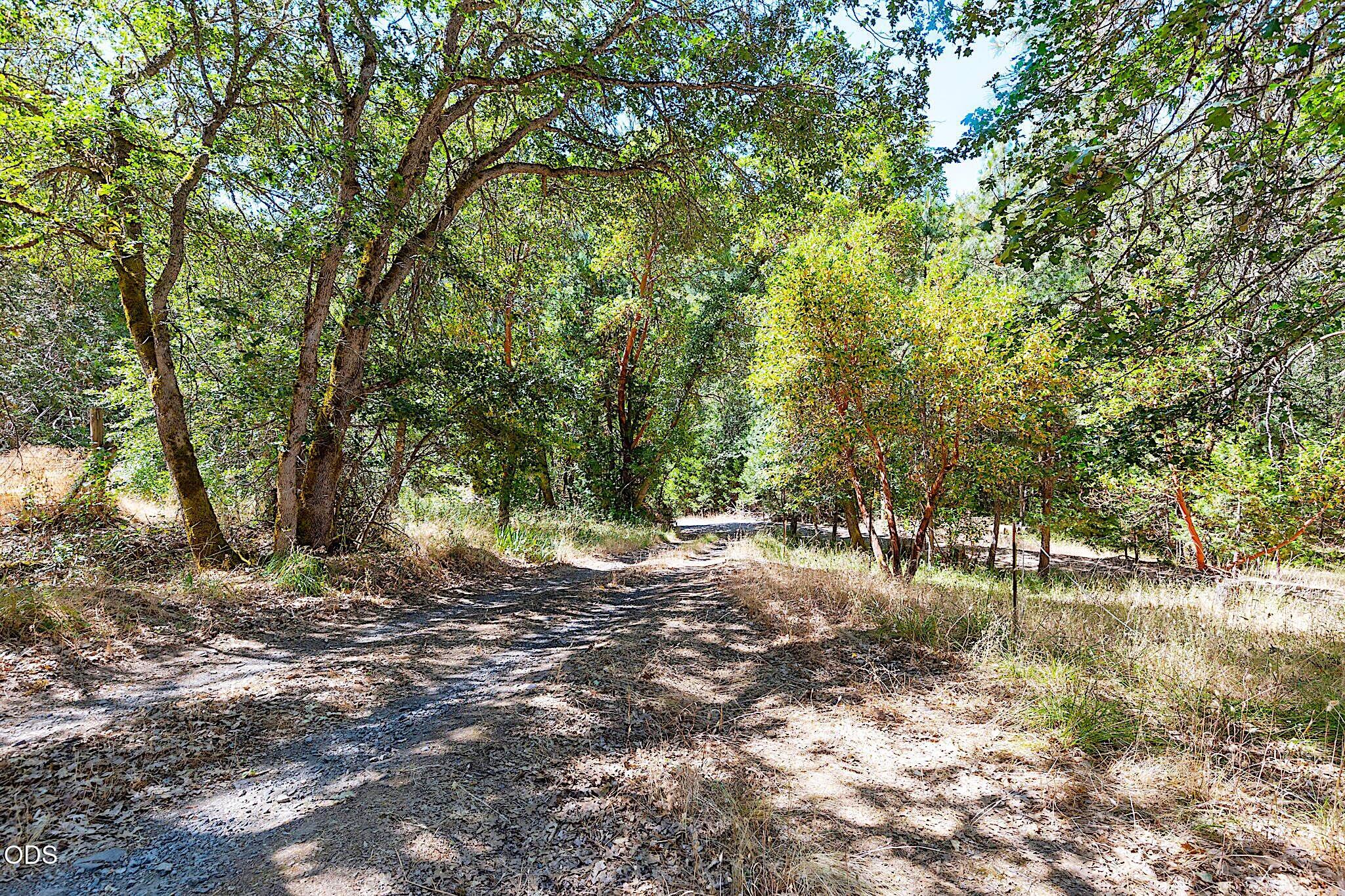 705 Murphy Gulch Road Rogue River, OR 97537 - Photo 40 of 77