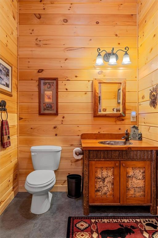 881 Fox Mountain Road Cherry Log, GA 30522 - Photo 20 of 65 a bathroom with a toilet and a sink