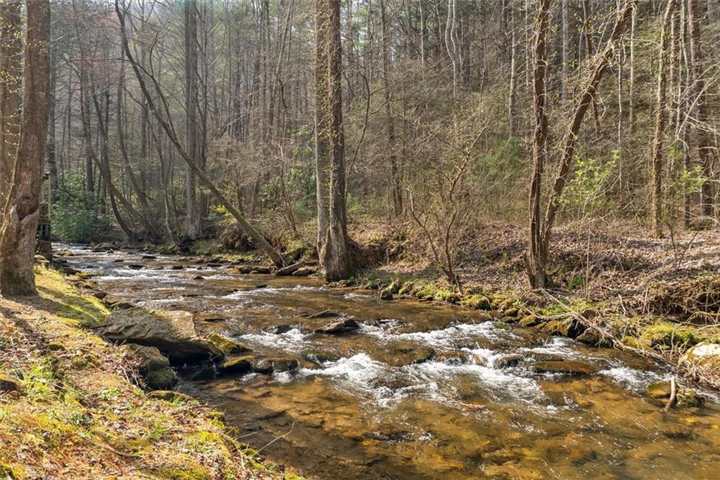 881 Fox Mountain Road Cherry Log, GA 30522 - Photo 3 of 65