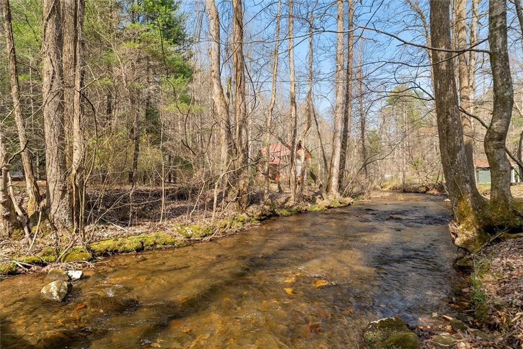 881 Fox Mountain Road Cherry Log, GA 30522 - Photo 4 of 65