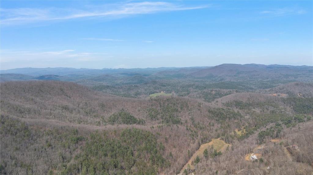 881 Fox Mountain Road Cherry Log, GA 30522 - Photo 5 of 65 a view of an outdoor space with mountain view