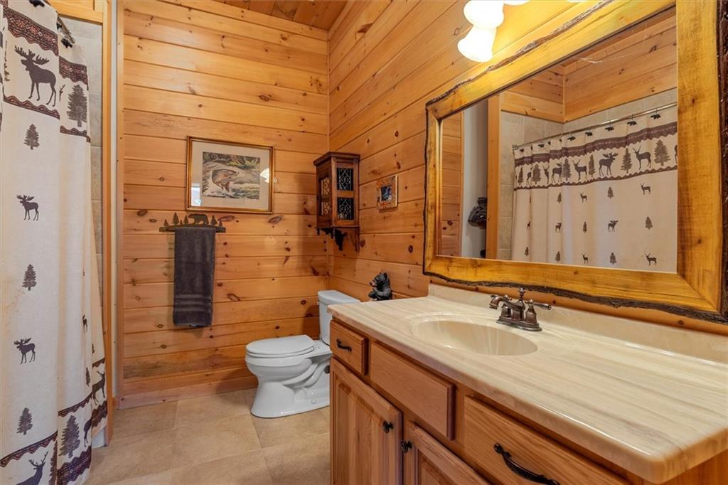 881 Fox Mountain Road Cherry Log, GA 30522 - Photo 60 of 65 a bathroom with a sink a toilet and shower