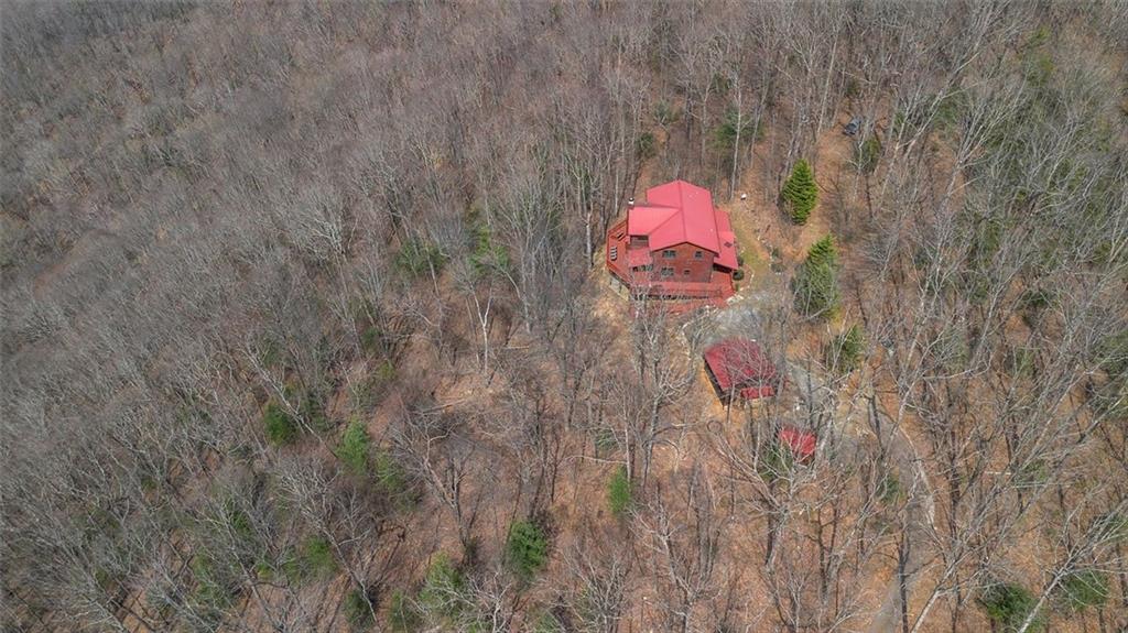 881 Fox Mountain Road Cherry Log, GA 30522 - Photo 8 of 65