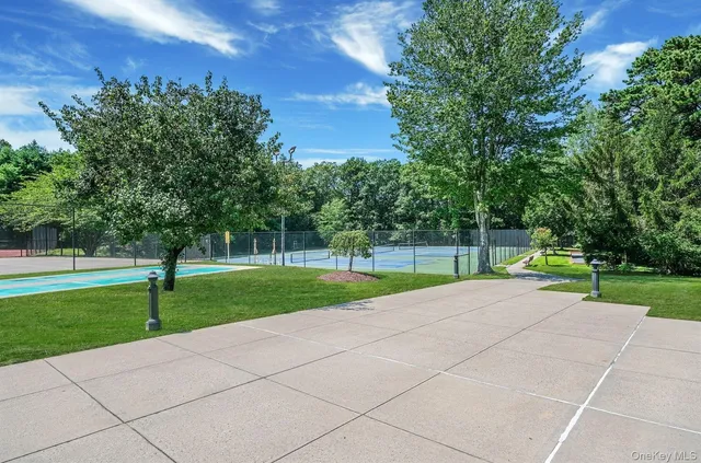 a view of a park with large trees
