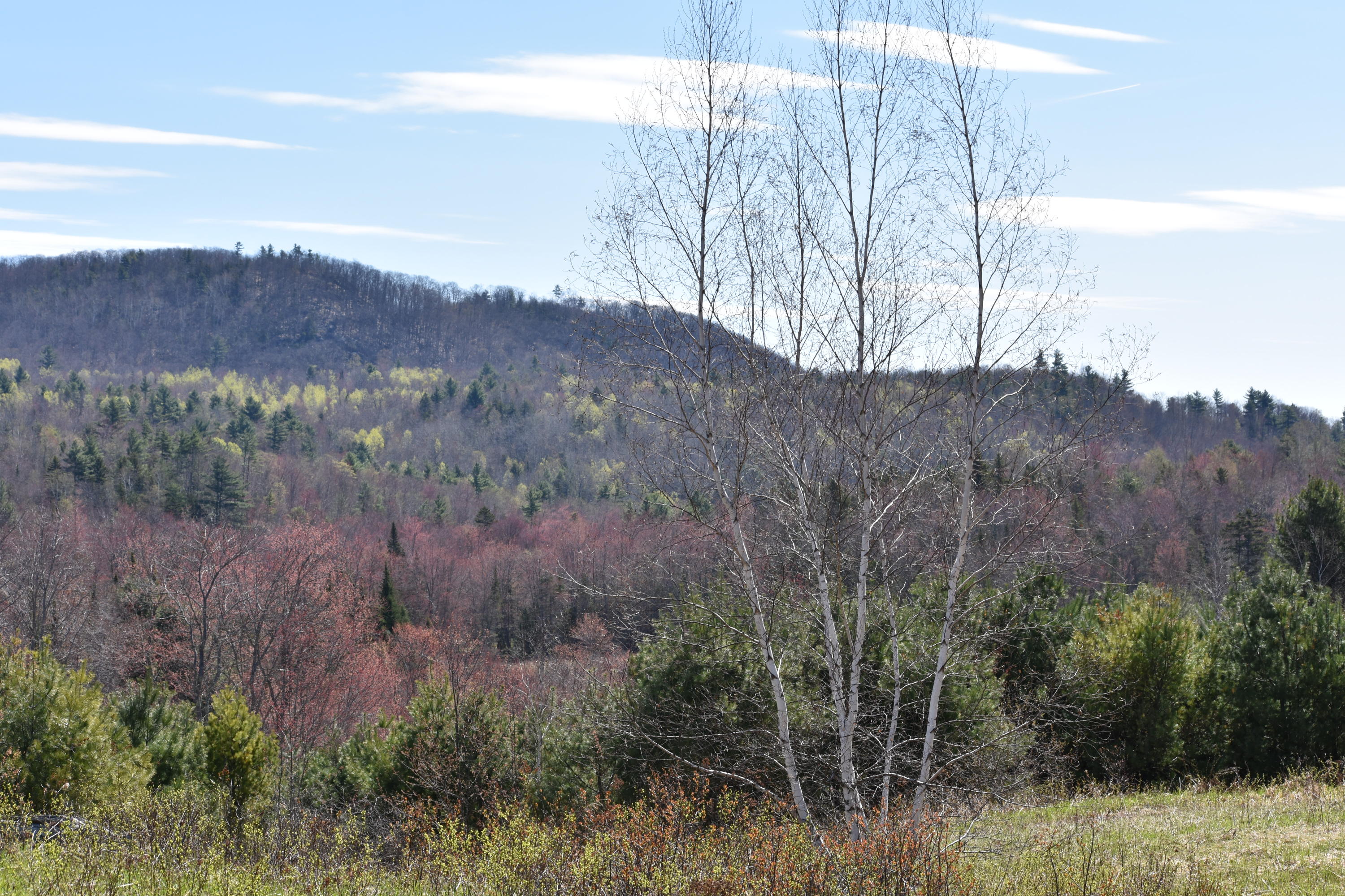 53 Twitchell Road Bryant Pond, ME 04219 - Photo 13 of 32 DSC_0112