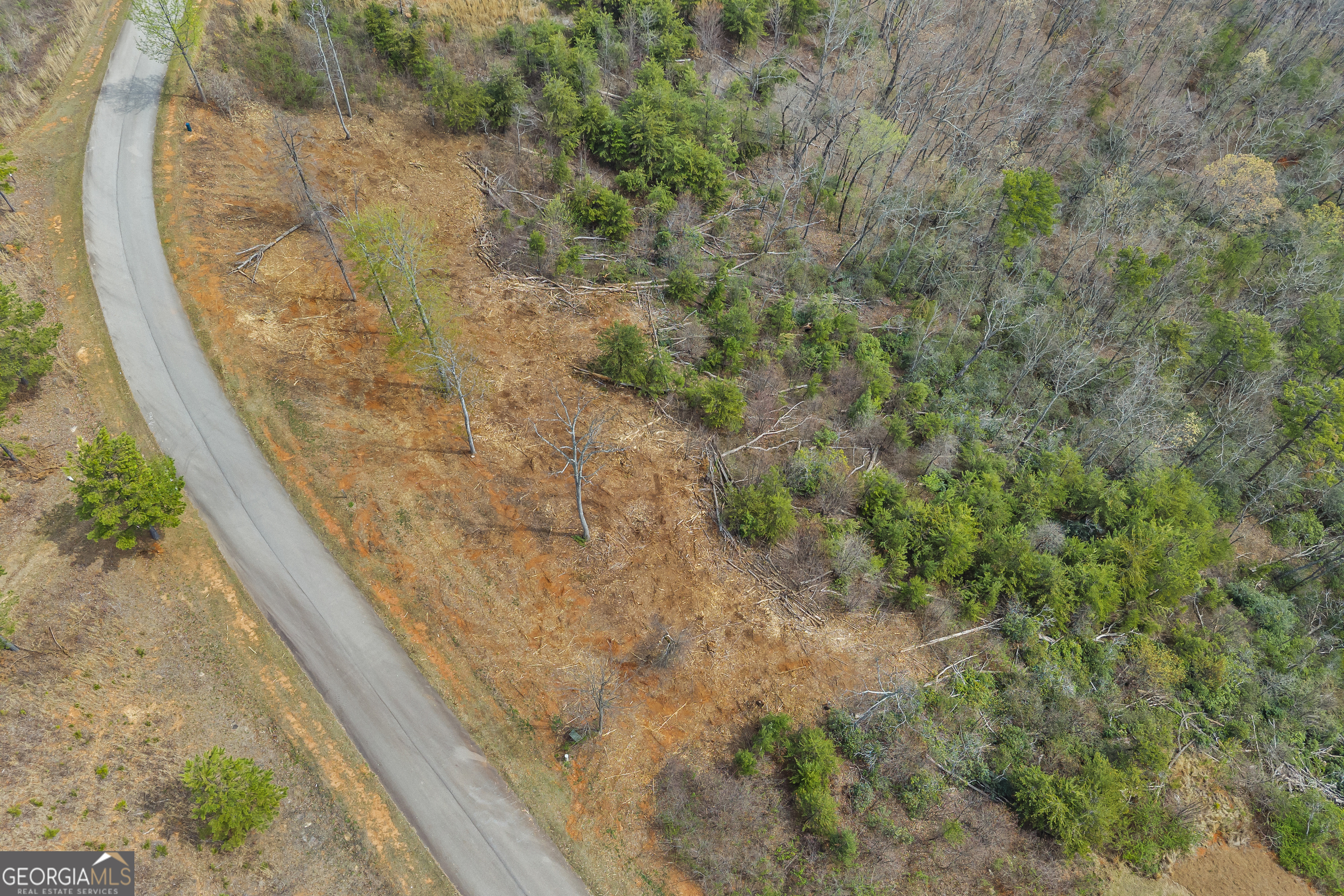 Lot 36 Mountain Ridge Drive Clarkesville, GA 30523 - Photo 49 of 53