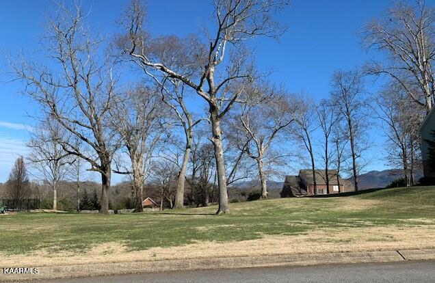 Lot 105 Poplar Grove Road Maryville, TN 37804 - Photo 5 of 8 Poplar Grove Road