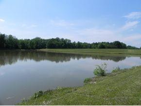 0 Coveside Union Ridge Road Burlington, NC 27217 - Photo 2 of 7 Gallery Image 2