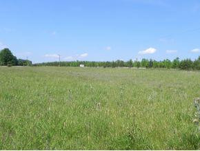 0 Coveside Union Ridge Road Burlington, NC 27217 - Photo 3 of 7 Gallery Image 3
