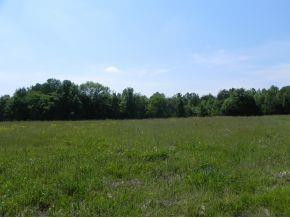0 Coveside Union Ridge Road Burlington, NC 27217 - Photo 5 of 7 Gallery Image 5