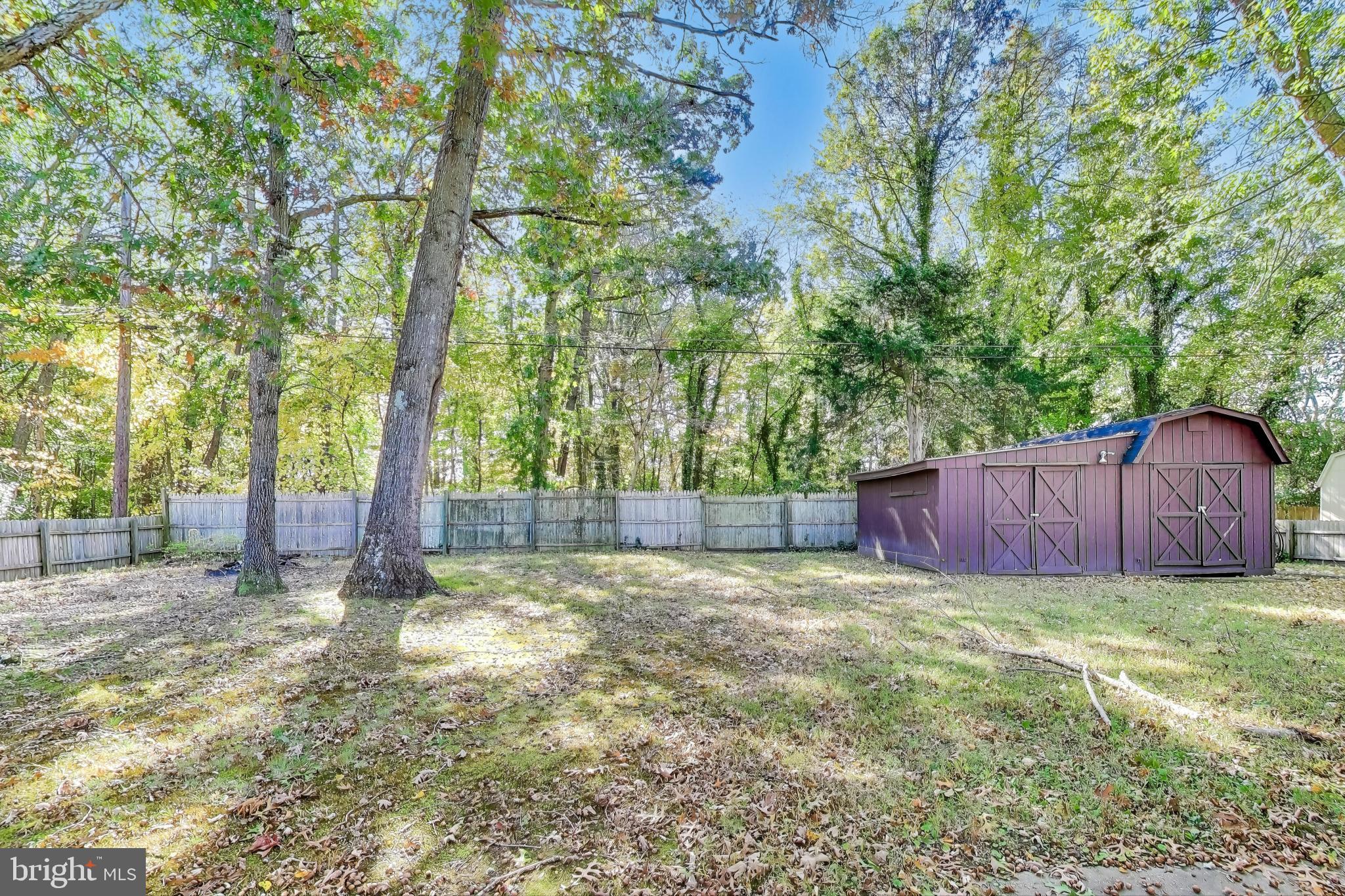 119 Jefferson Road Waldorf, MD 20602 - Photo 38 of 44 a view of backyard with tree