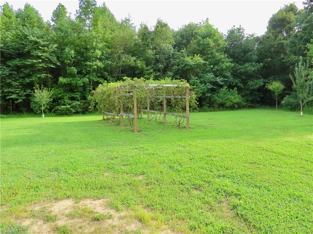 594 Butler Lake Road Reidsville, NC 27320 - Photo 16 of 22 Gallery Image 16