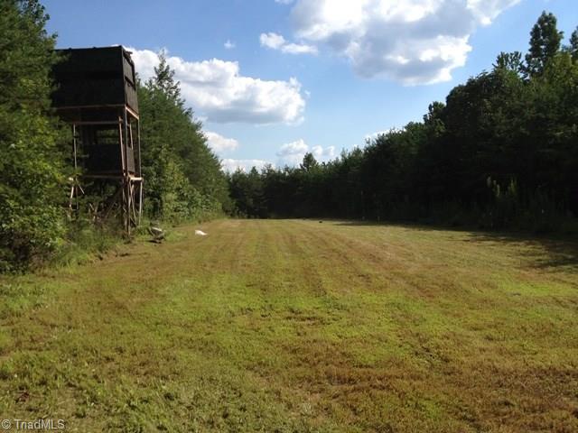 594 Butler Lake Road Reidsville, NC 27320 - Photo 17 of 22 Gallery Image 17