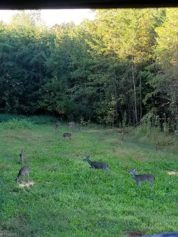 594 Butler Lake Road Reidsville, NC 27320 - Photo 19 of 22 Gallery Image 19