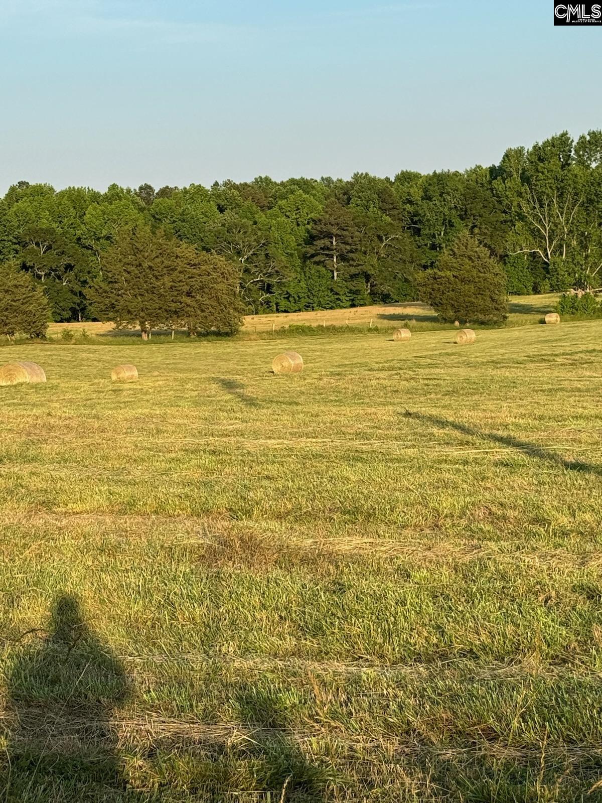 542 Pea Ridge Highway Jonesville, SC 29353 - Photo 12 of 72