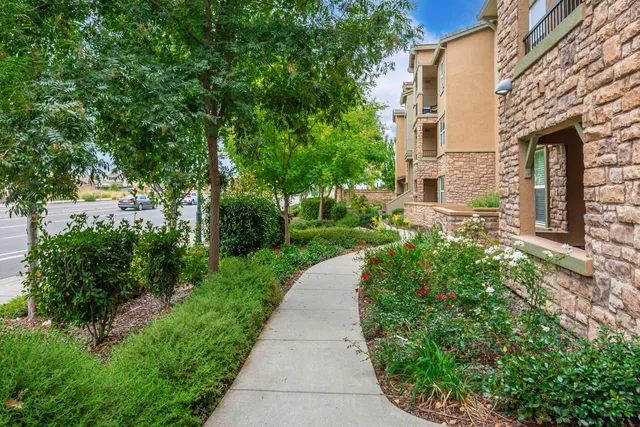 a front view of a house with plants