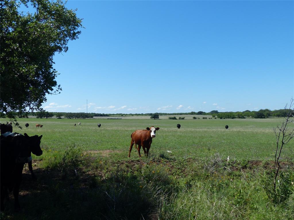 1825 Fm 1028 Rochelle, TX 76872 - Photo 2 of 40