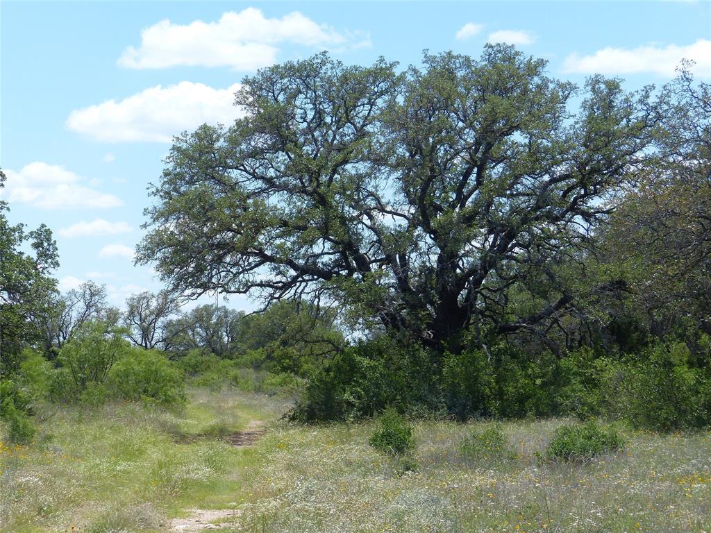 1825 Fm 1028 Rochelle, TX 76872 - Photo 21 of 40