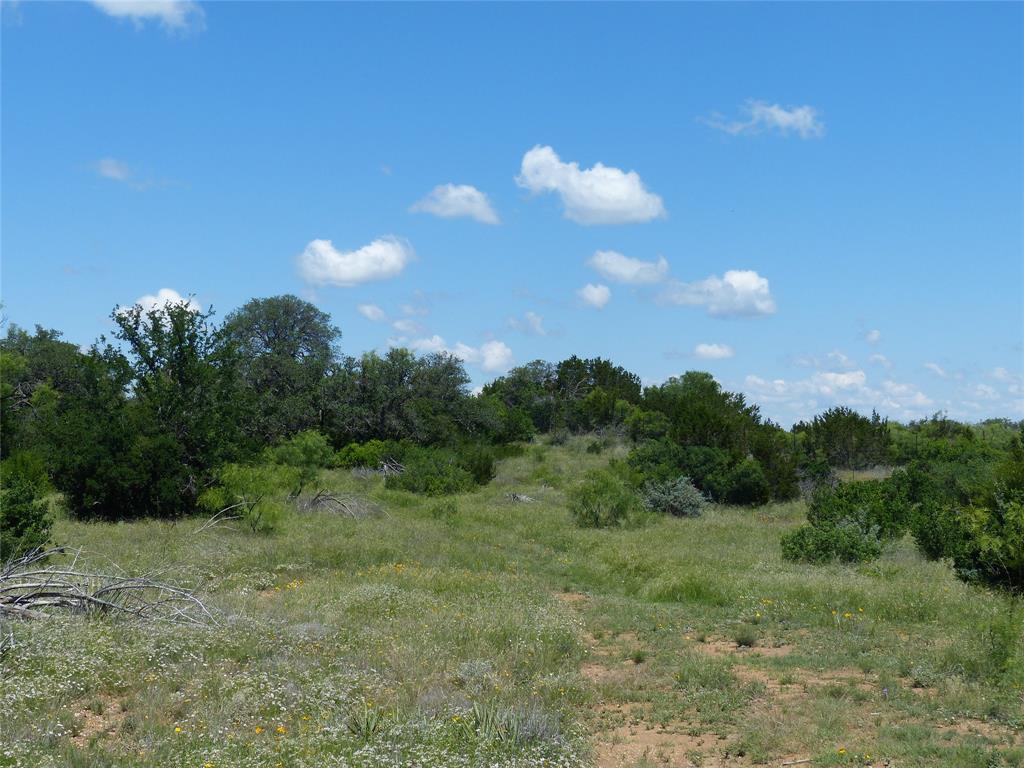 1825 Fm 1028 Rochelle, TX 76872 - Photo 8 of 40