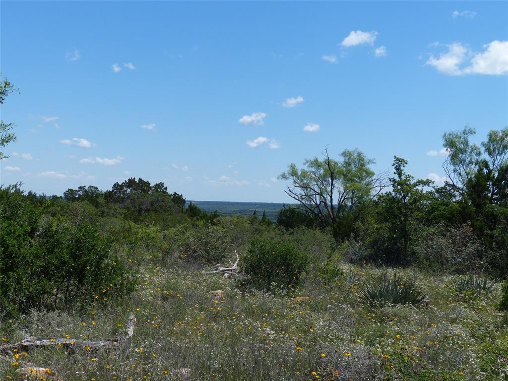 1825 Fm 1028 Rochelle, TX 76872 - Photo 10 of 40