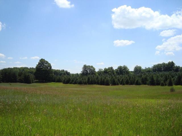 17455 19 Mile Road Leroy, MI 49655 - Photo 2 of 12 Additional Photo