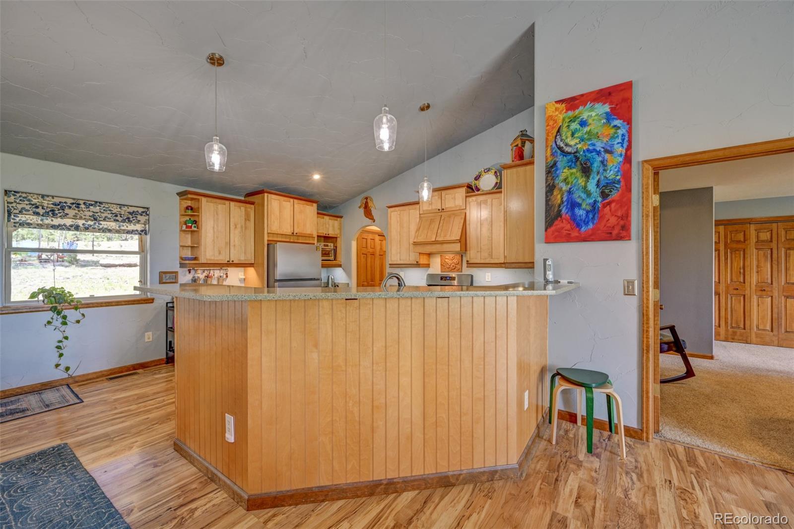 730 Lariat Loop Hartsel, CO 80449 - Photo 17 of 50