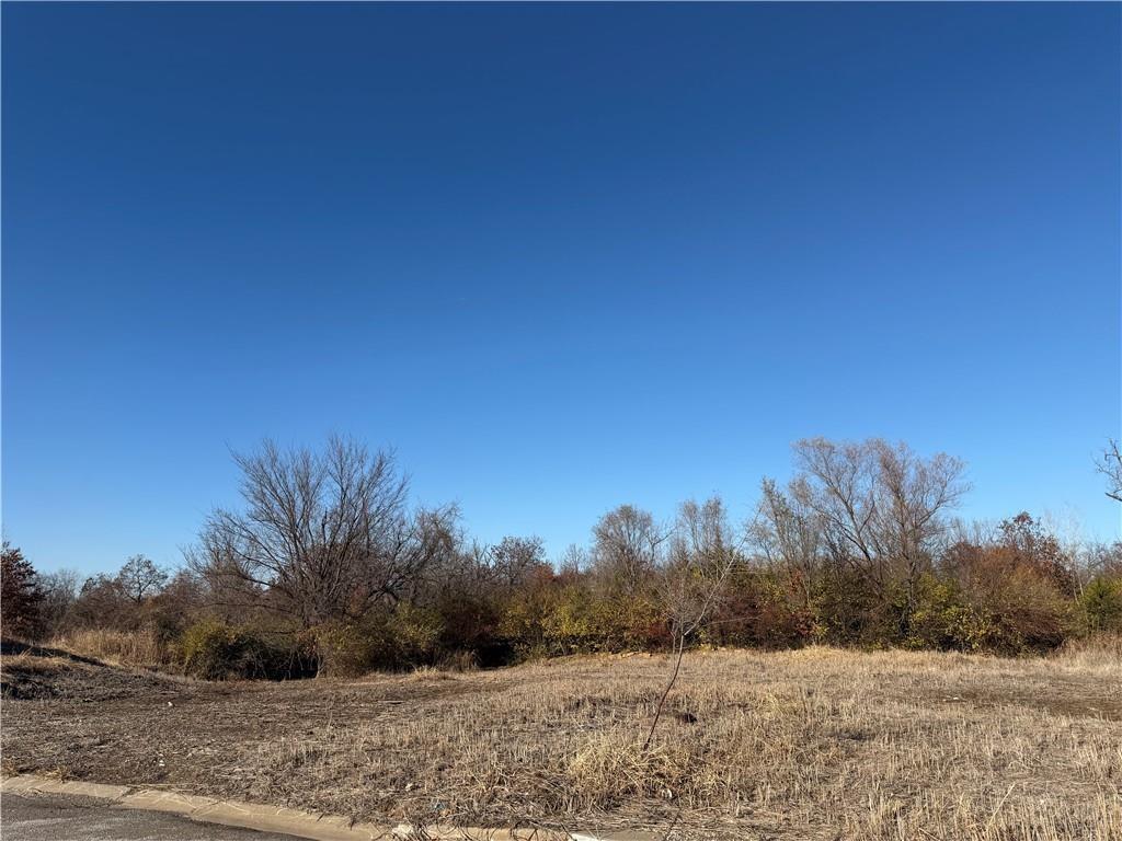 4537 Appleton Avenue Kansas City, MO 64133 - Photo 3 of 3