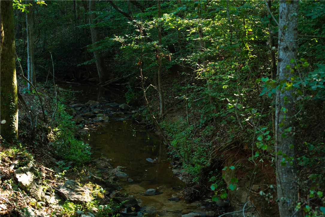 120 Edgewater Drive Fair Play, SC 29643 - Photo 43 of 50 creek that feeds into waterfall