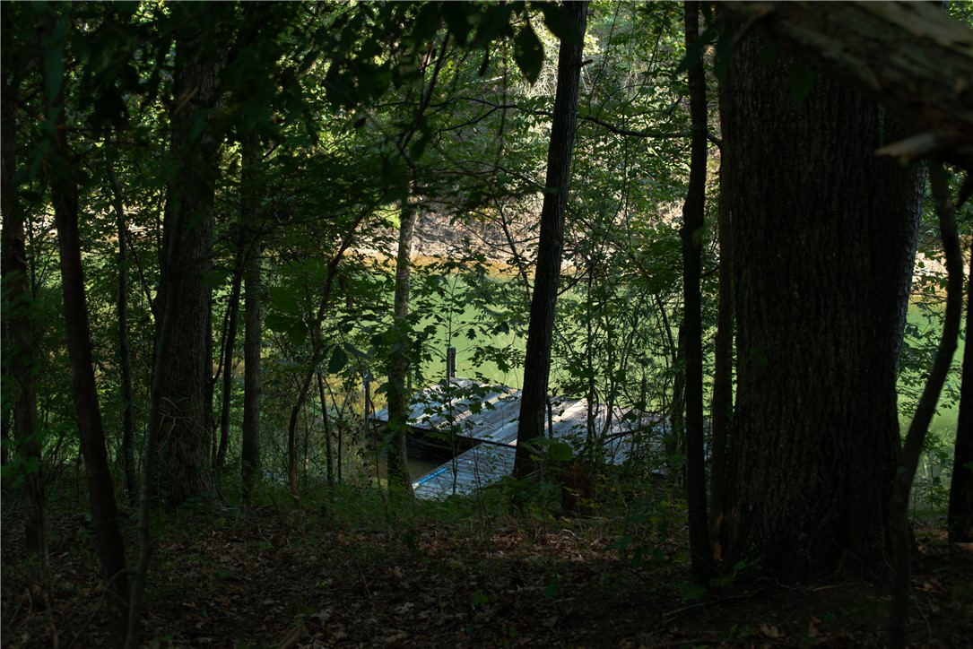120 Edgewater Drive Fair Play, SC 29643 - Photo 47 of 50 view of dock 2 from additional double lot