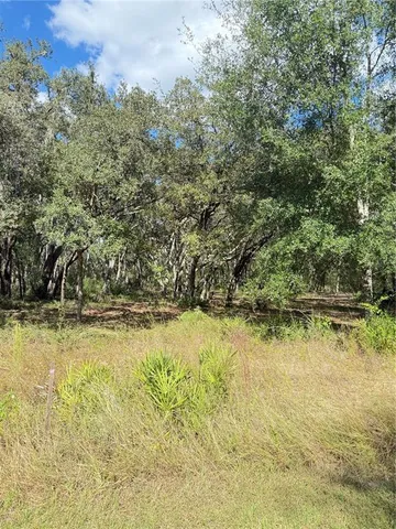 a view of a water fountain with an outdoor space