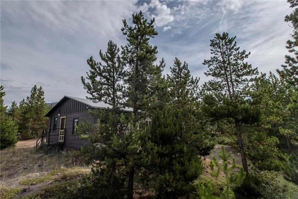 76 B Road Silverthorne, CO 80498 - Photo 11 of 25 Gallery Image 11