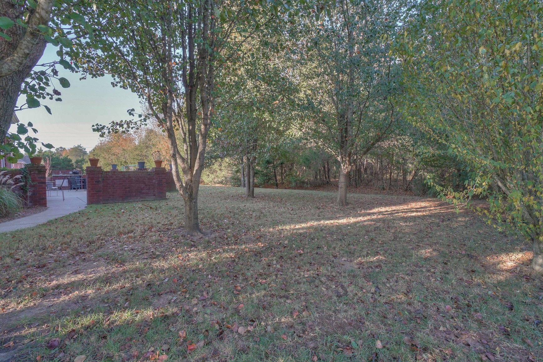 1211 Marathon Drive Murfreesboro, TN 37129 - Photo 2 of 37 a view of a yard with a tree