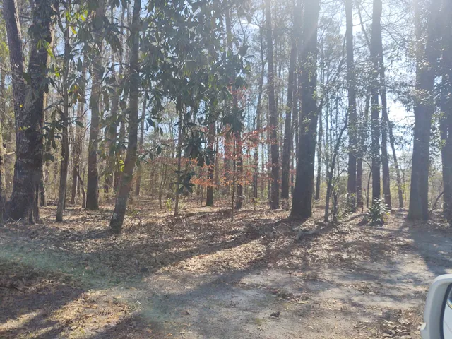 $1,500,000 | 10839 Dorchester Road, Summerville, SC 29485