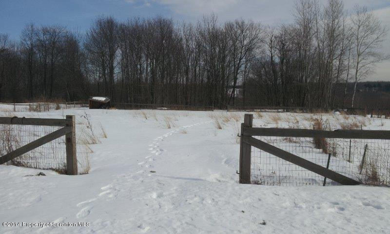 4170 Madisonville Road Moscow, PA 18444 - Photo 3 of 19 a view of backyard with trees