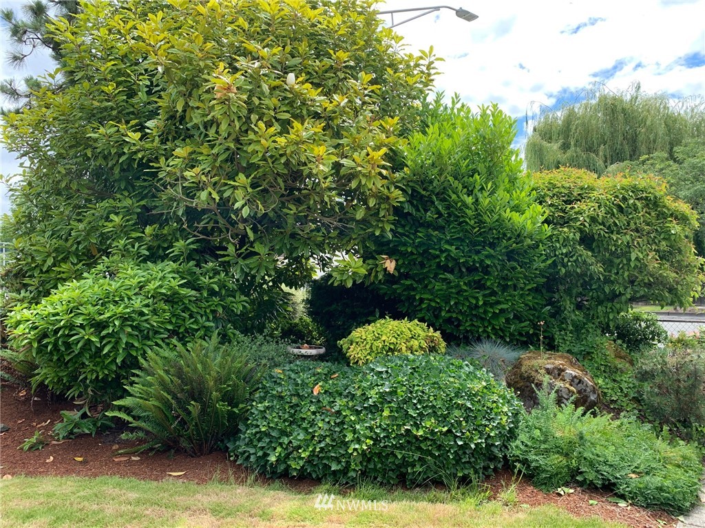 820 North 3rd Street Renton, WA 98057 - Photo 27 of 29 Gallery Image 27