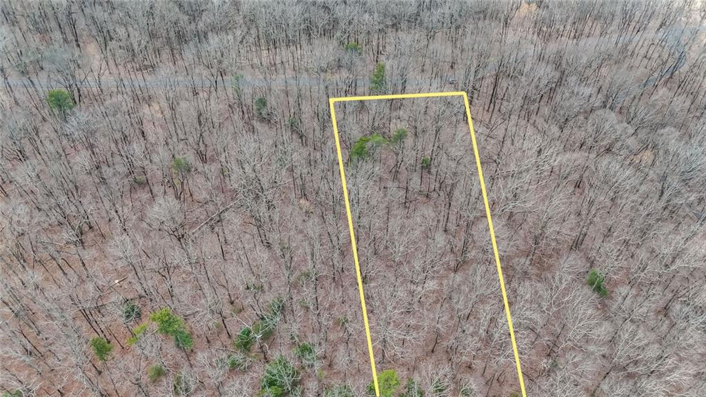 22 Andes Ridge Jasper, GA 30143 - Photo 3 of 11